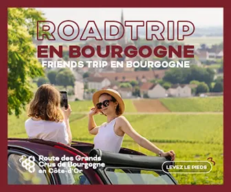 Route des Grands Crus de Bourgogne, visuel 15