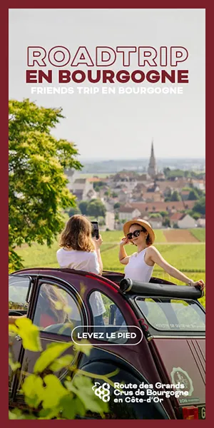 Route des Grands Crus de Bourgogne, visuel 20