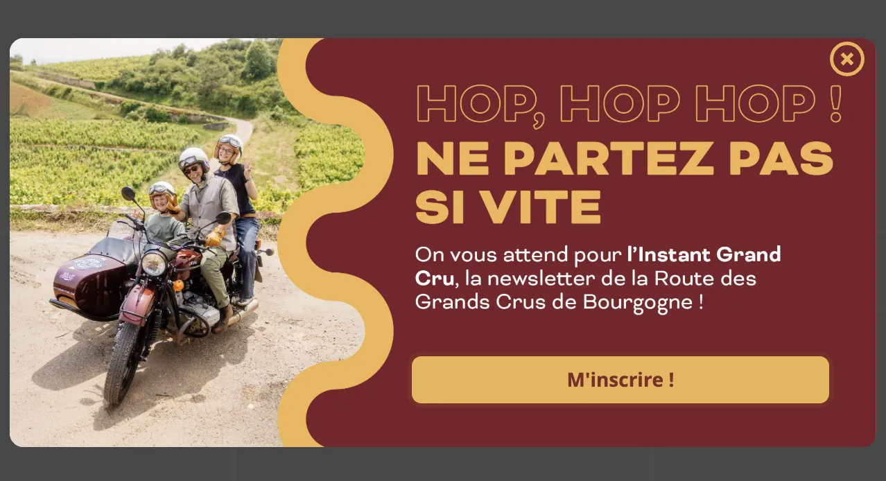 Route des Grands Crus de Bourgogne, visuel 12