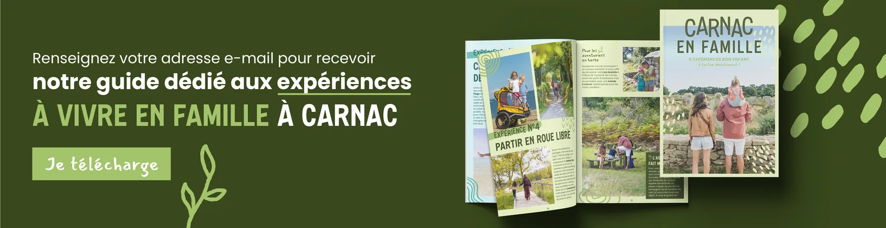 Carnac, visuel 4