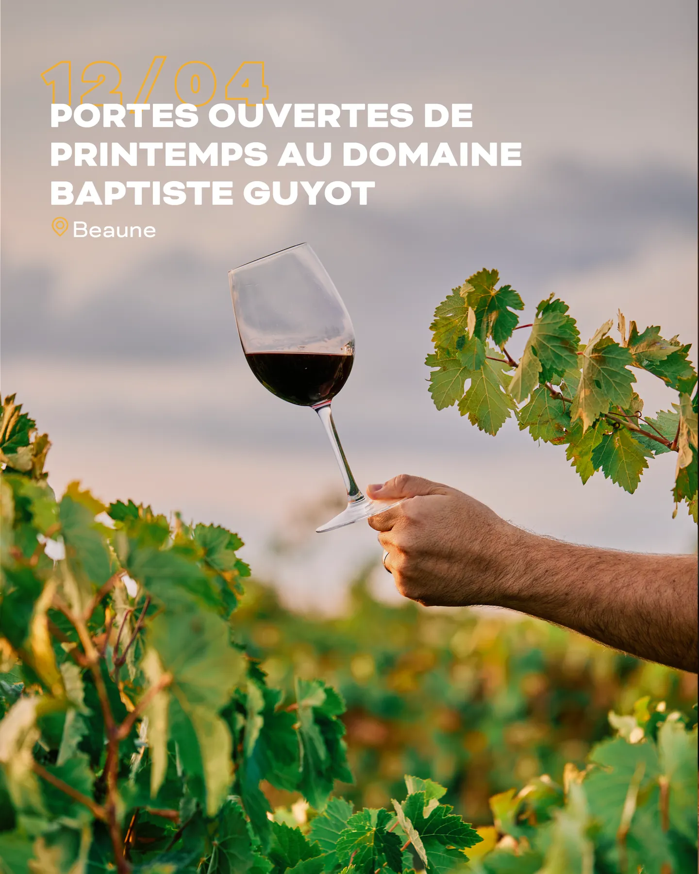 Route des Grands Crus de Bourgogne, visuel 8