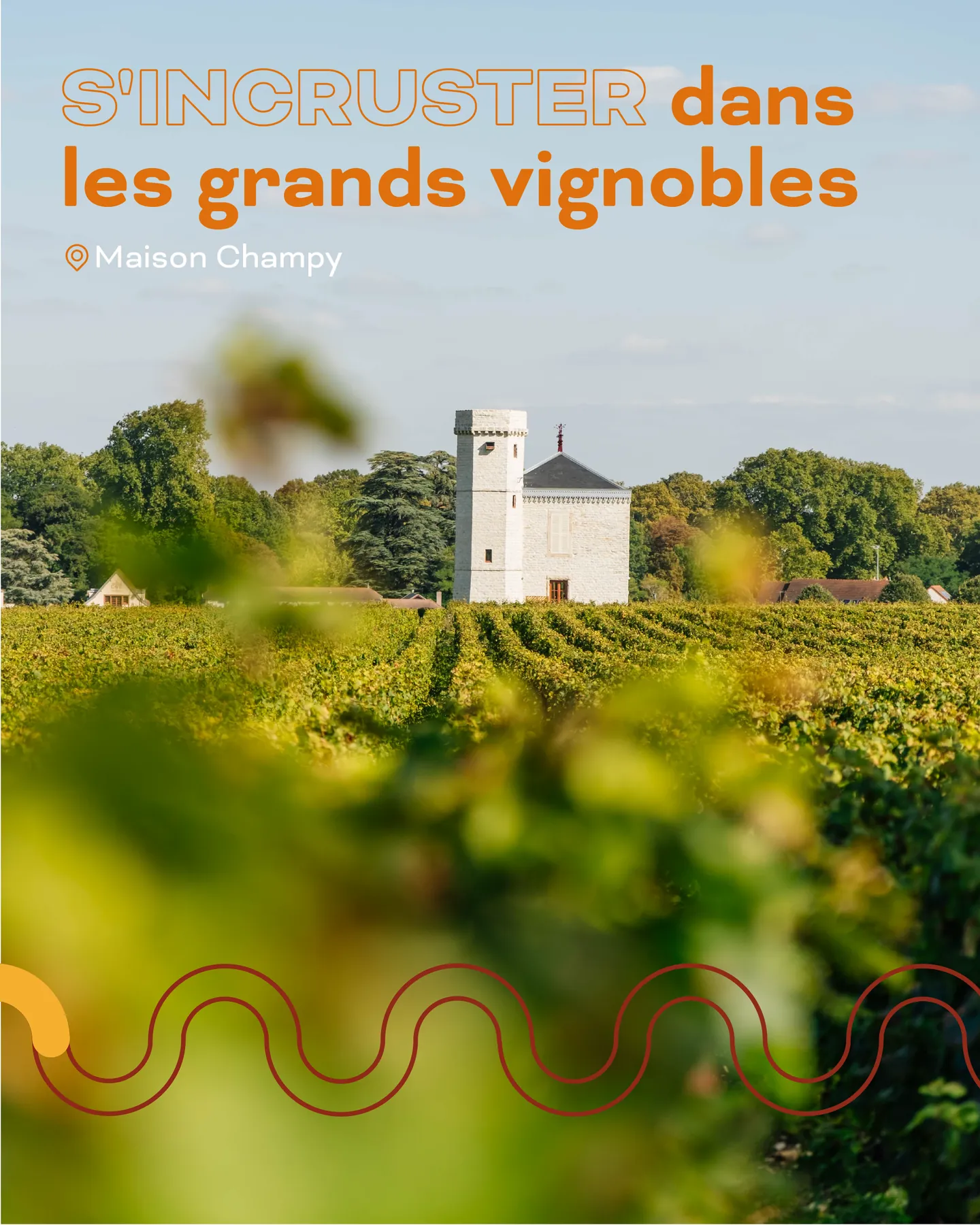 Route des Grands Crus de Bourgogne, visuel 2